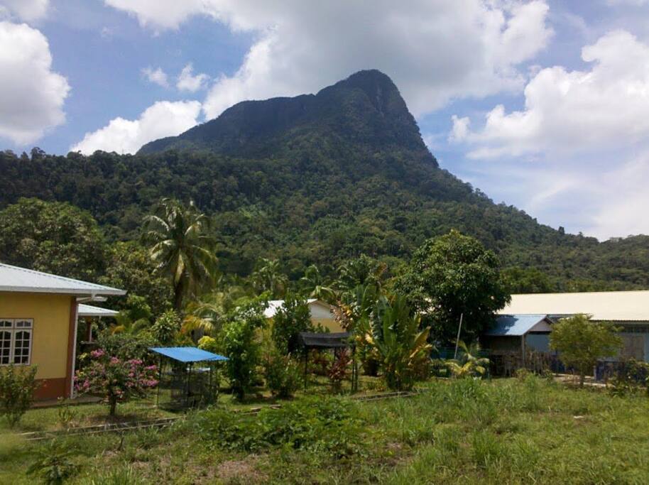 View from Homestay