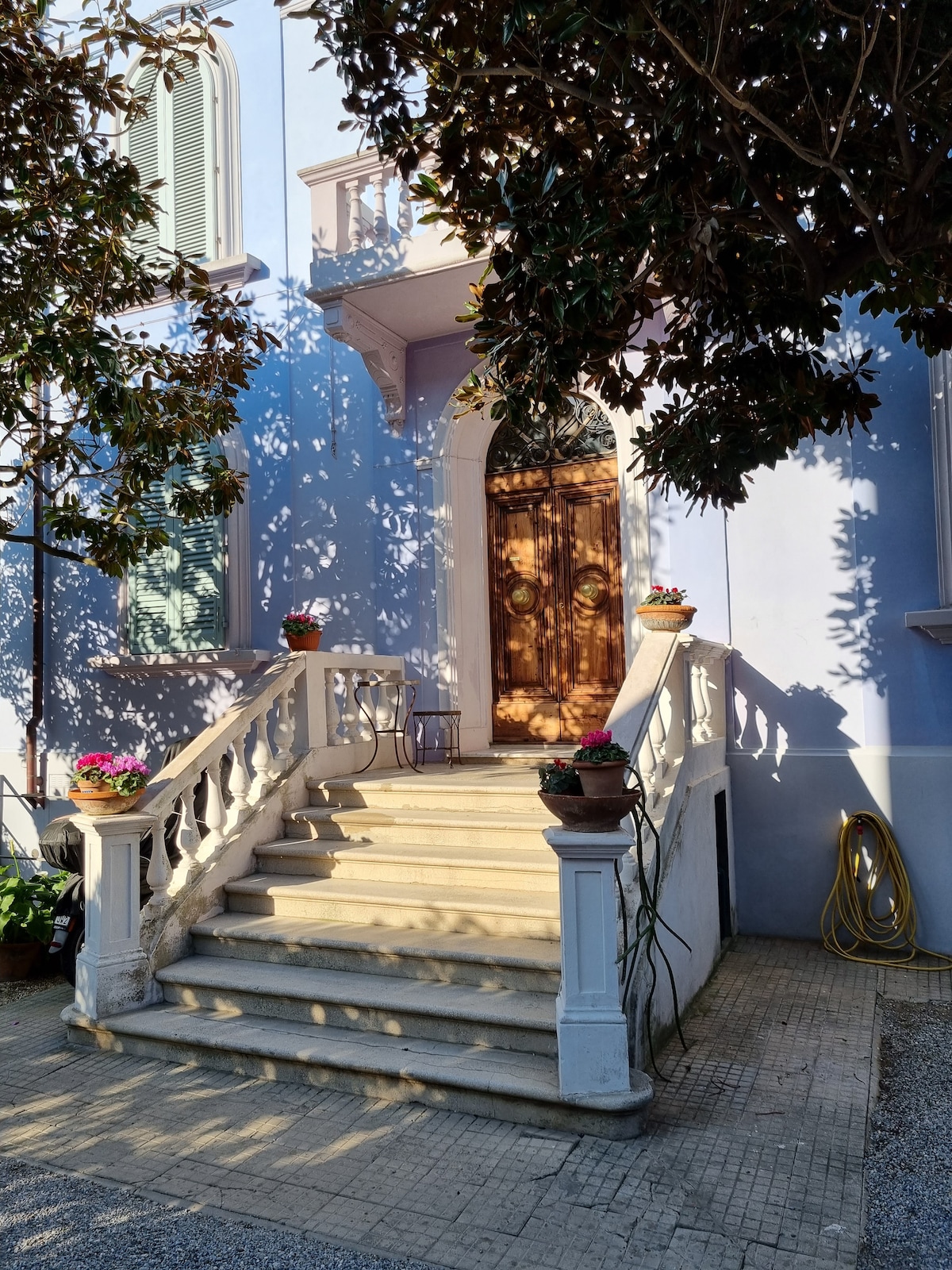 The entrance features a set of elegant double doors framed by intricate wooden detailing. A wide staircase leads to the door, bordered by potted plants in bloom. Shadows from nearby trees softly dance on the stone steps, enhancing the welcoming aspect of the home.