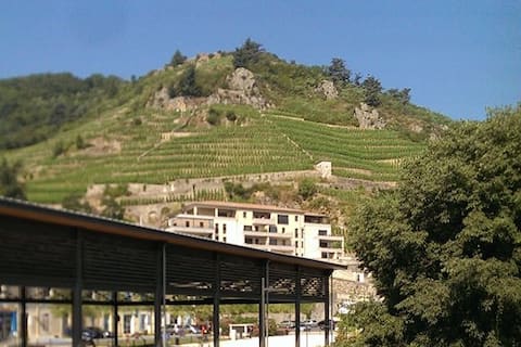 L'Héberge du Rhone- in the heart of Tournon