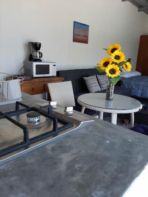 Top performing Airbnb: Colibrigarden Studio in Chapala