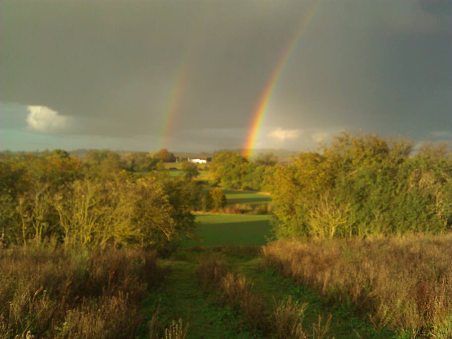 A view of the farm