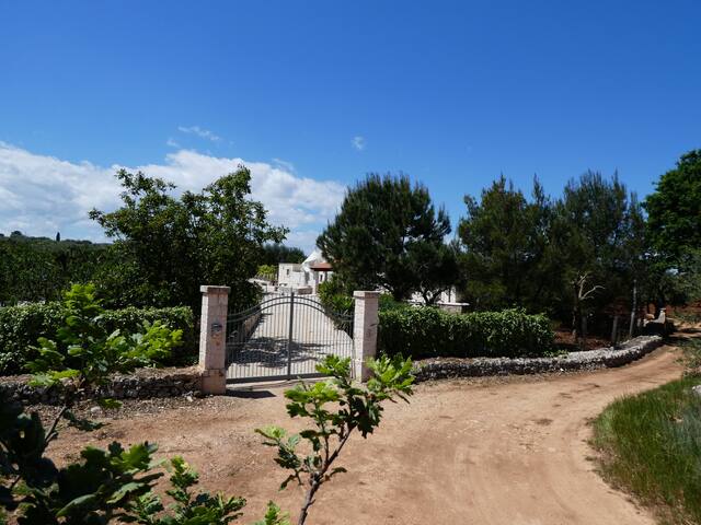 Trullo Carlotta- trullo and private pool, 7 beds gallery image 3