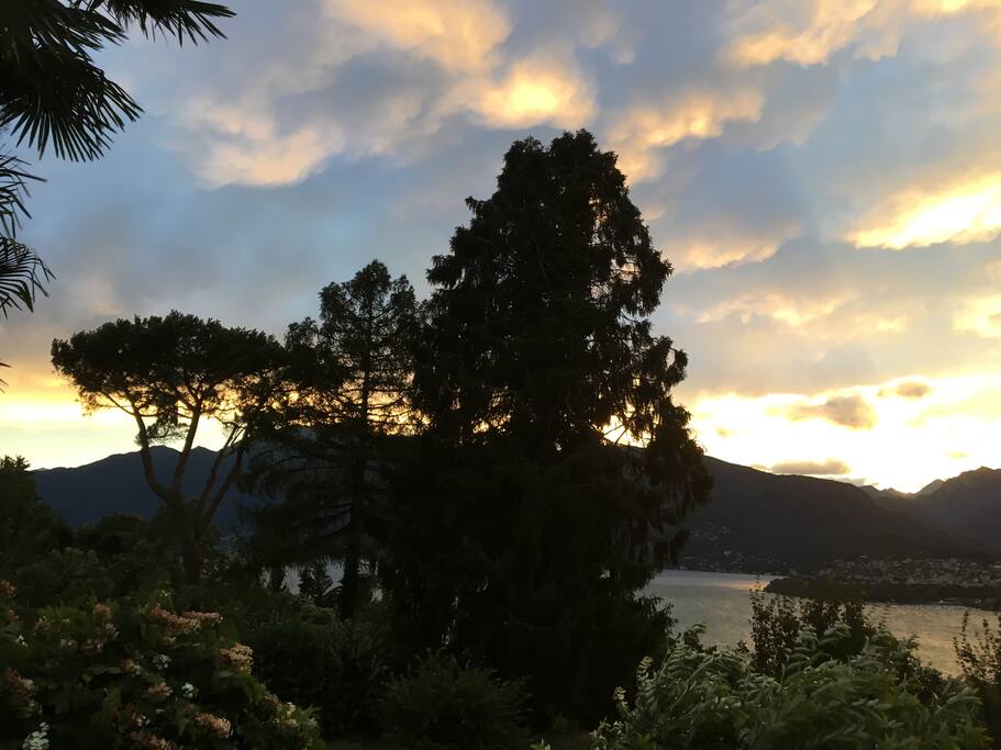 Abendstimmung
auf der Terrasse