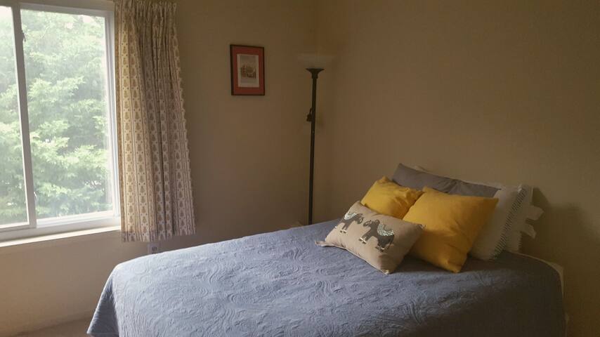 Comfy Bed