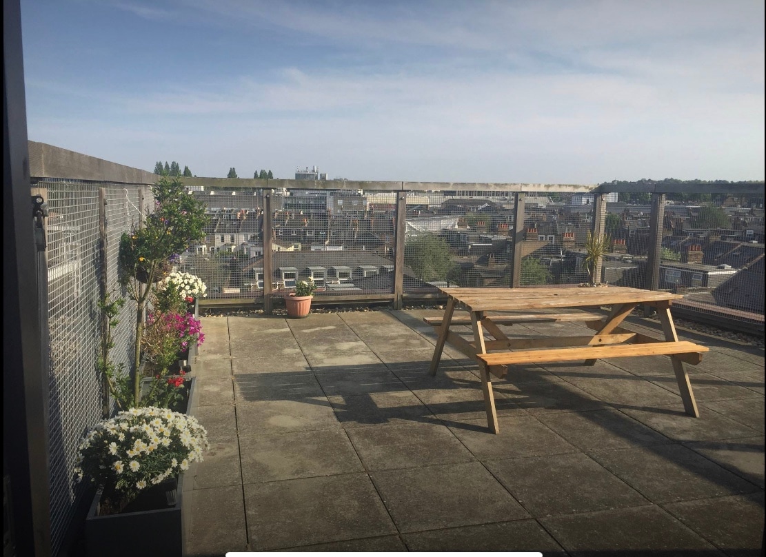 A spacious communal terrace features a wooden picnic table and potted plants with colorful blooms. The surrounding railing provides a panoramic view of the cityscape under a clear blue sky.