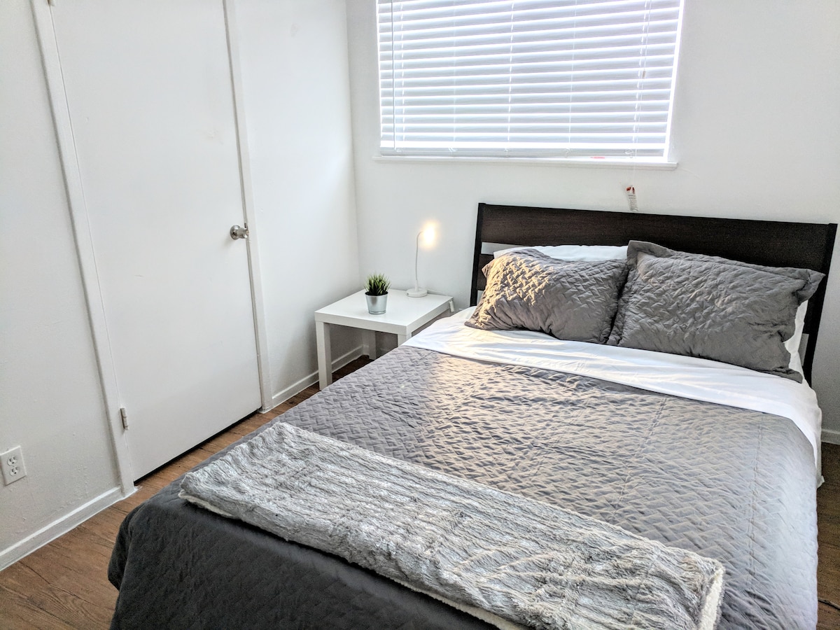 Bolm Apt 16