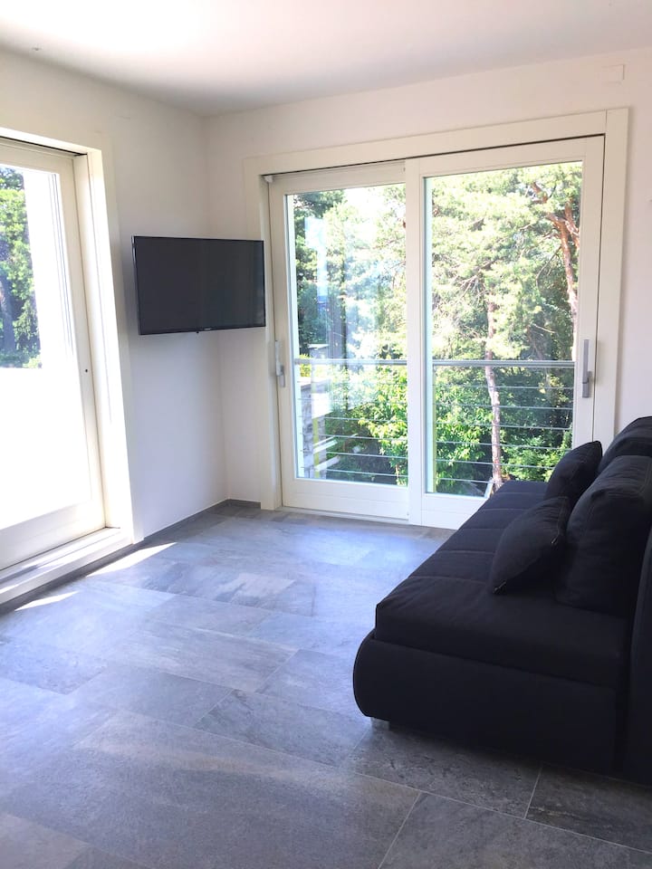 Bedroom 3 (When used as a Livingroom)