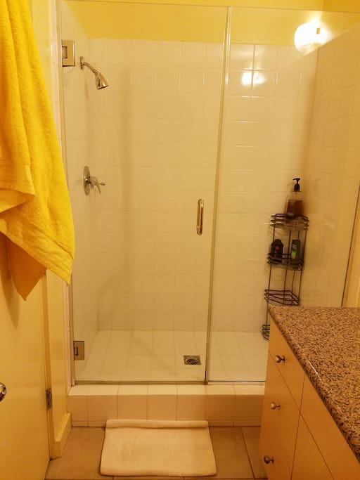 Shower with glass doors