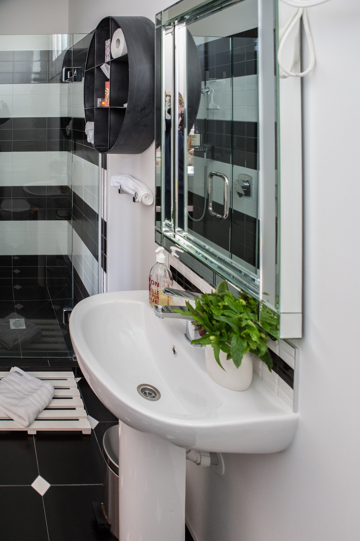 A modern bathroom is showcased with a white pedestal sink and a large mirror framed in silver. Black and white tiled walls create a striking contrast. A small potted plant sits on the sink, adding a touch of greenery.