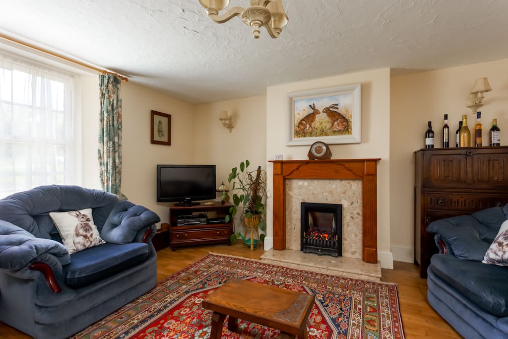 Comfortable lounge with focal gas fire.