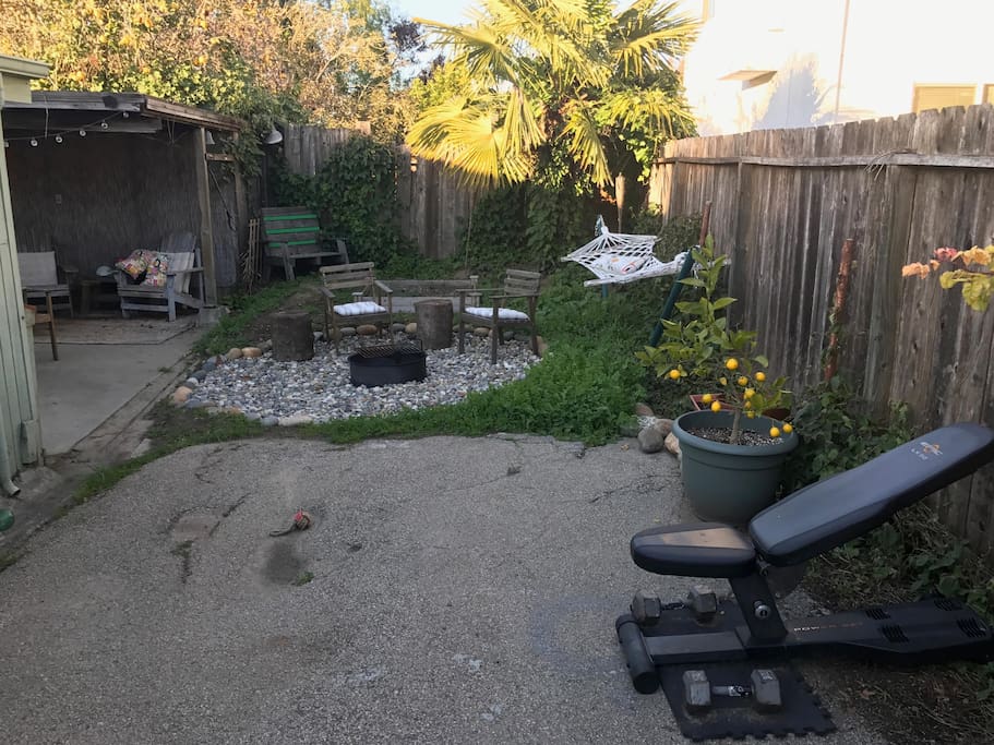 Enclosed backyard with firepit, hammock, seating, bench, lemon tree, bbq grill, etc.