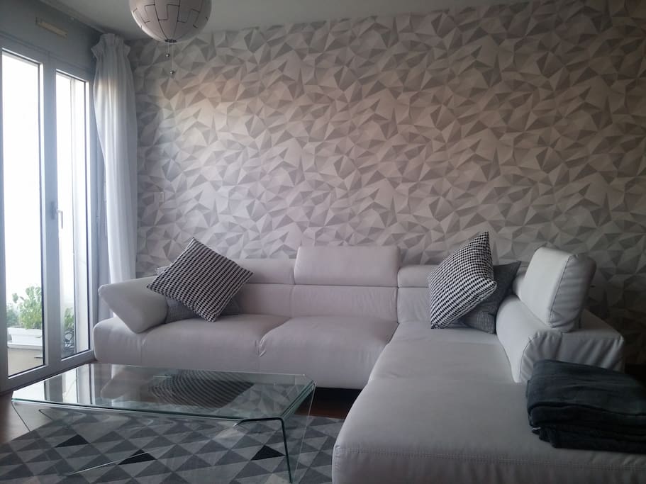 Salon avec écran plat Oled 4K, lecteur DVD/Blu Ray 4K et Canasat/Canal+.