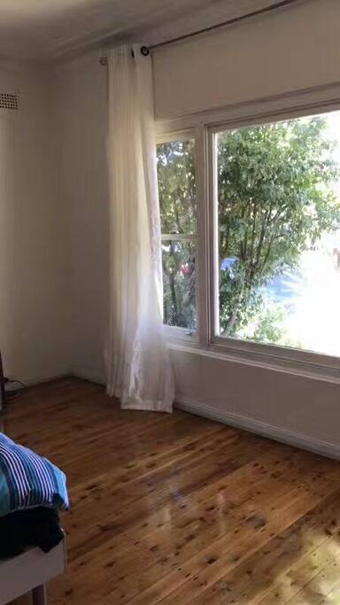 window