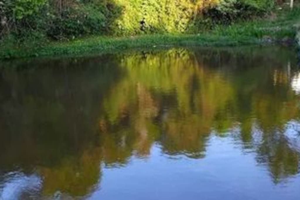 Lago