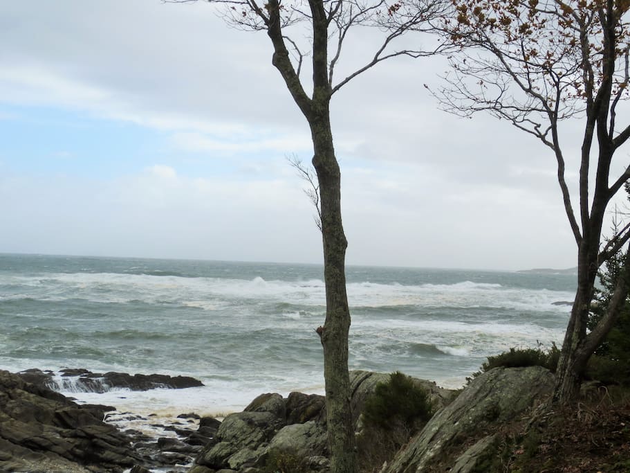 Open Ocean View
