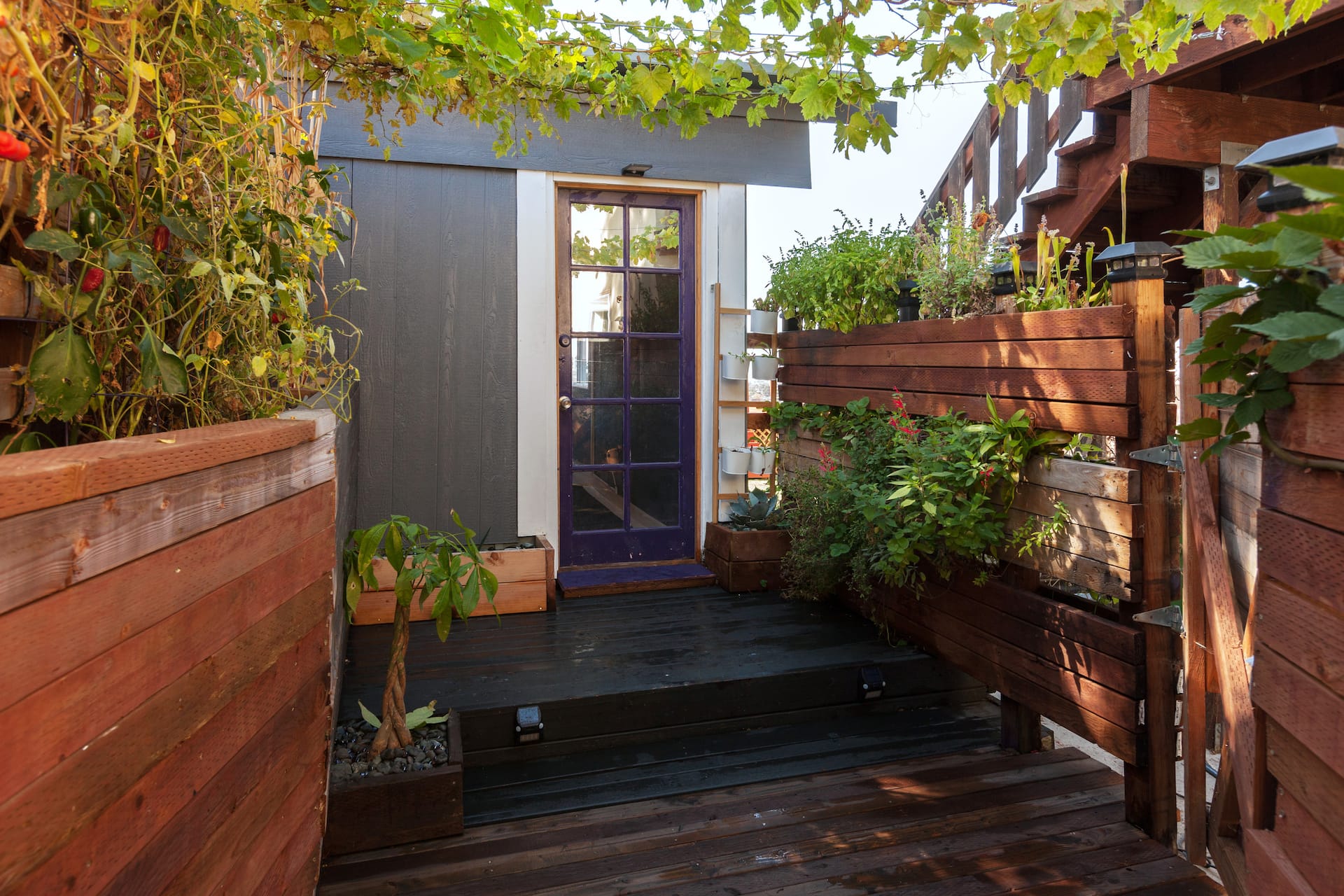 The Purple Door, Private Sanctuary, Epic View