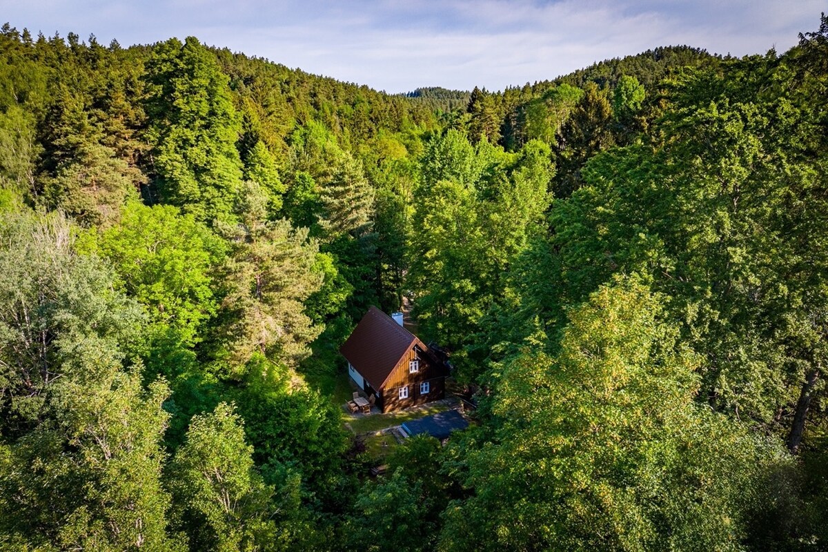 A charming cabin is nestled among dense greenery, surrounded by tall trees and forested hills. The structure features a sloped roof and is partially obscured by lush foliage, offering a sense of tranquility amid the vibrant natural landscape.