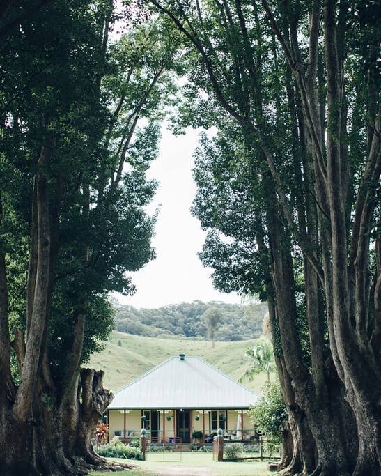 Driveway leading to house.
