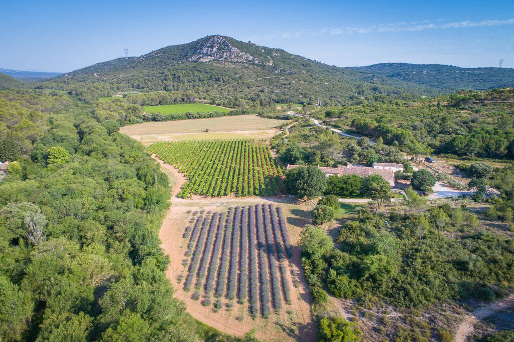 Le domaine