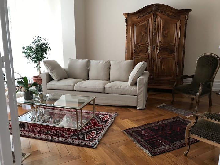 Appartement 150 M2 Parking Jardin Centre Et Gare - Colmar