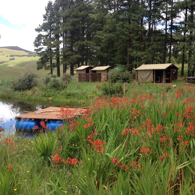 Hiking, bird watching, horse riding, trips up the mountain to the highest pub in the Southern Drakensberg Mountains