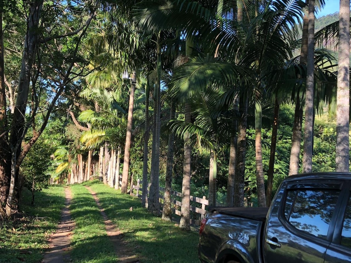 A narrow, unpaved path is lined with tall palm trees and lush greenery, creating a natural canopy. A parked vehicle is positioned nearby, highlighting the tranquil setting. The sunlight filters through the leaves, casting gentle patterns on the ground.