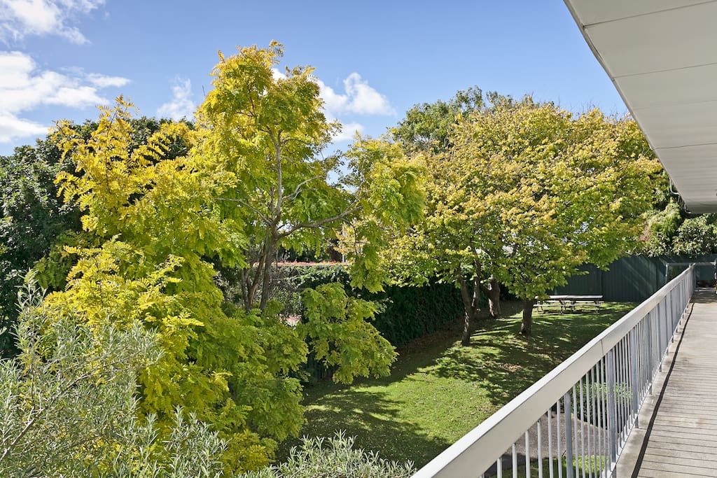 Garden area of complex