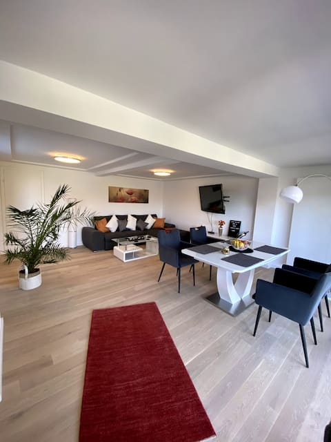 Apartment with Rhine view, roof terrace, Rhine lounge