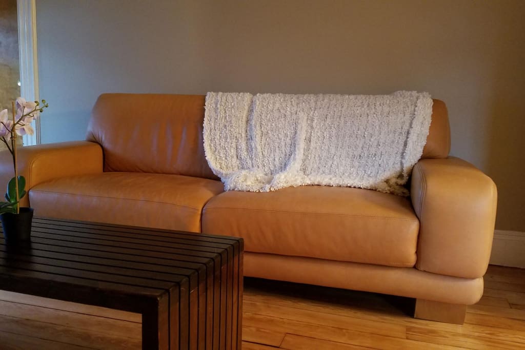 Soft Italian Leather Sofa with Wood Coffee Table