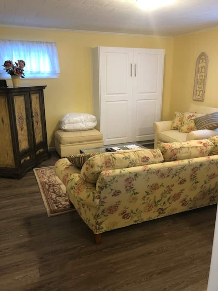 غرفة معيشة مع سرير "ميرفي" في خزانة بيضاء. يوجد تلفزيون في خزانة مرسومة على اليسار. مع نصف حمام. 