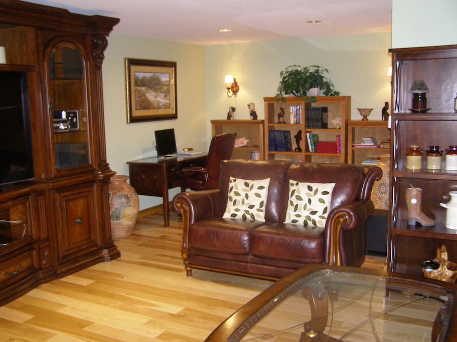 Living room with leather furnishings