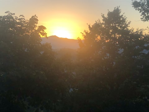 House in the woods, Tuscan-Emilian Apennines