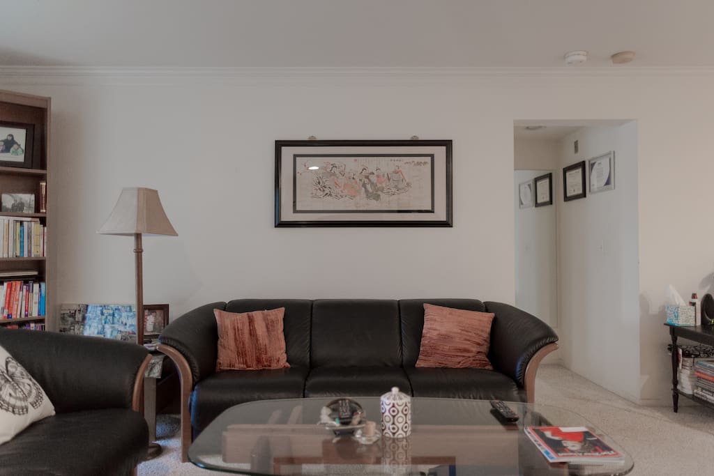 Next to the sofa is the hallway to the master bedroom.