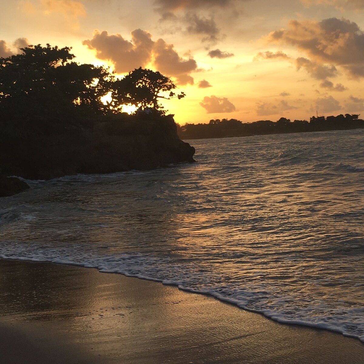 The image captures a serene beach scene at sunset, featuring gentle waves lapping against the shore. Silhouetted trees frame the scene, with a vibrant sky displaying shades of orange and yellow as the sun sets behind the horizon.
