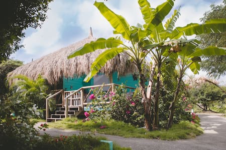 Eco-friendly palapa 'Tortuga'