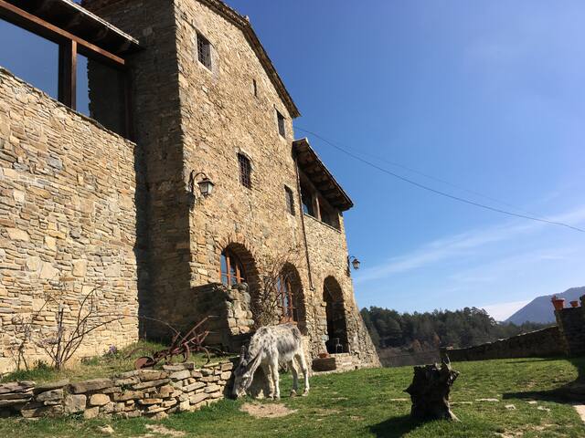 Magnificent rural house from XI century