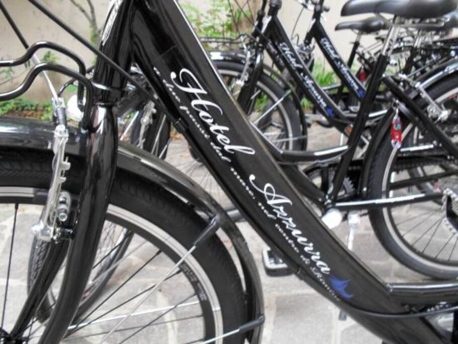 biciclette a disposizione per i clienti