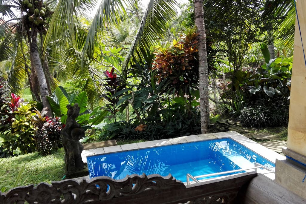 Jacuzzi with Fresh Air