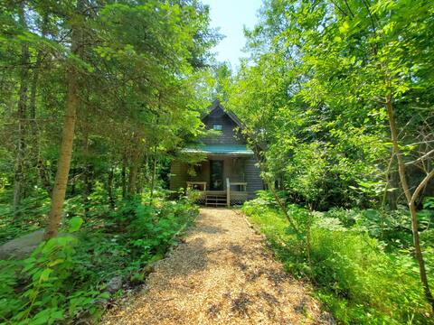 Superior Sanctuary: Refined Rustic in the Woods