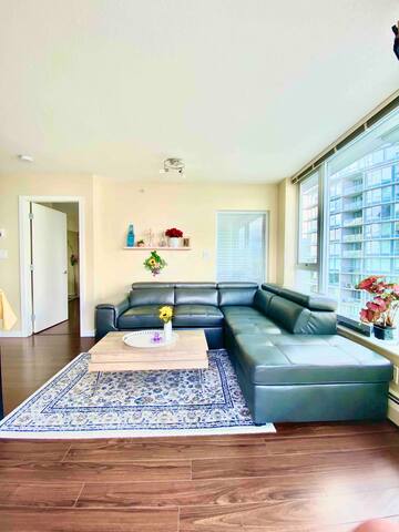 Your Home in Vancouver/Downtown/Sea-Mountain View