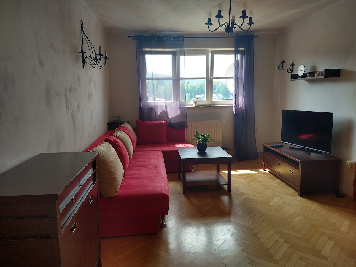 Přední Výtoň Vacation Rentals & Homes - South Bohemian Region, Czechia |  Airbnb