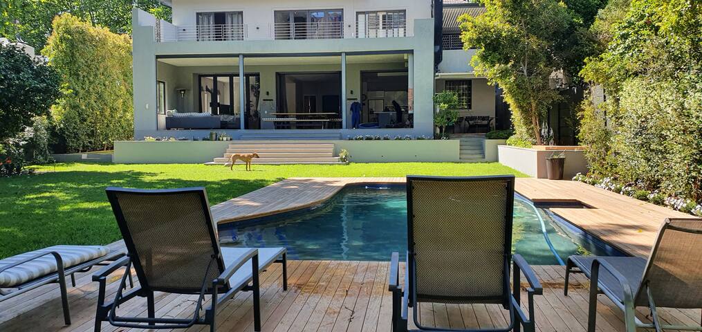 Beautiful spacious family home in prime location. gallery image 4