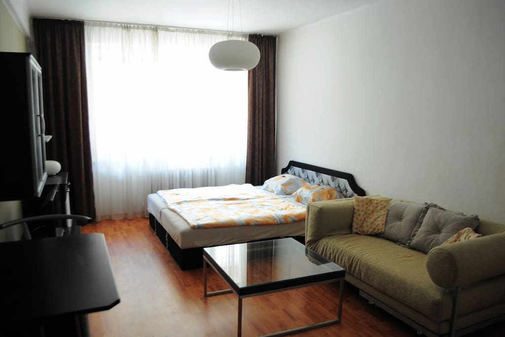 Main room / bedroom