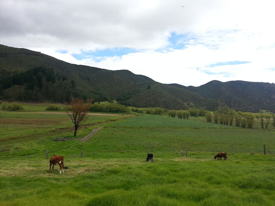 Panoramica desde la casa hacia el occidente