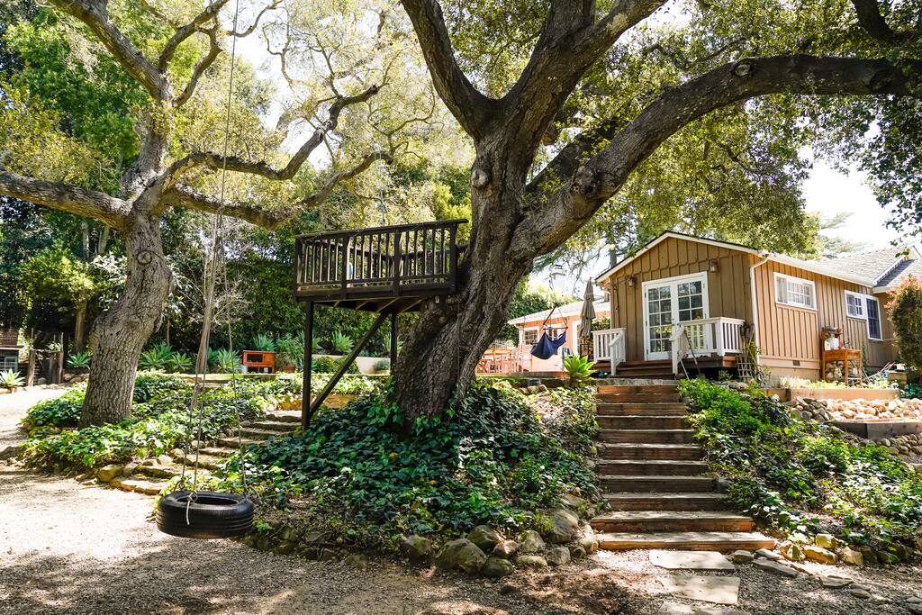Backyard with tree forts, tire swing, chicken coop, party lights, and comfy furniture