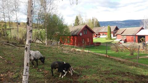 Single-family home on inhabited smallholdings in a rural setting.