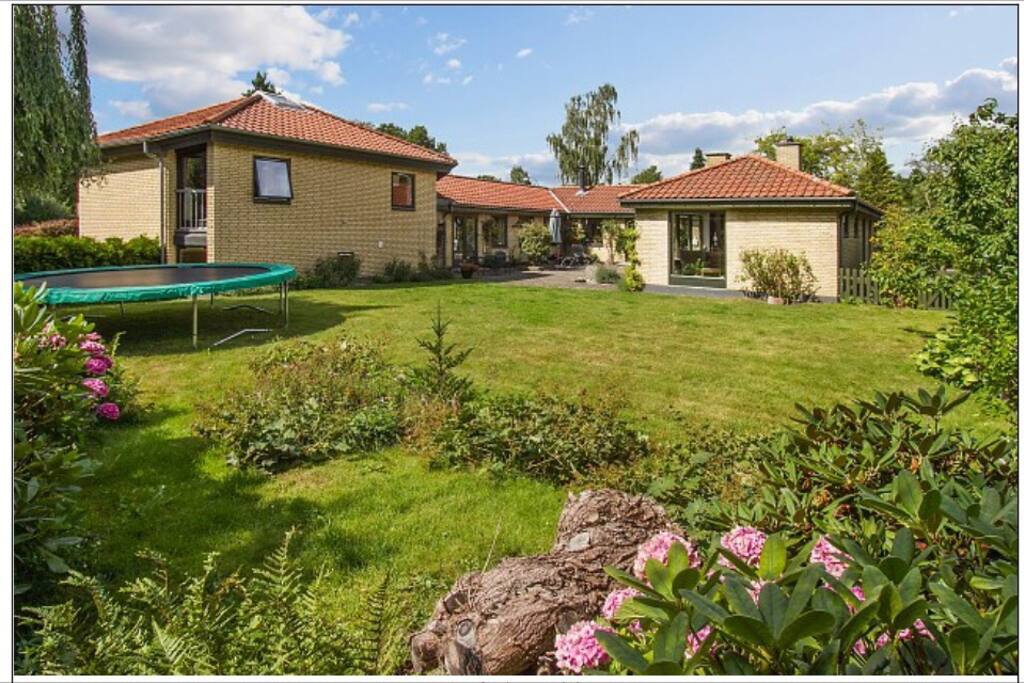 View from the garden