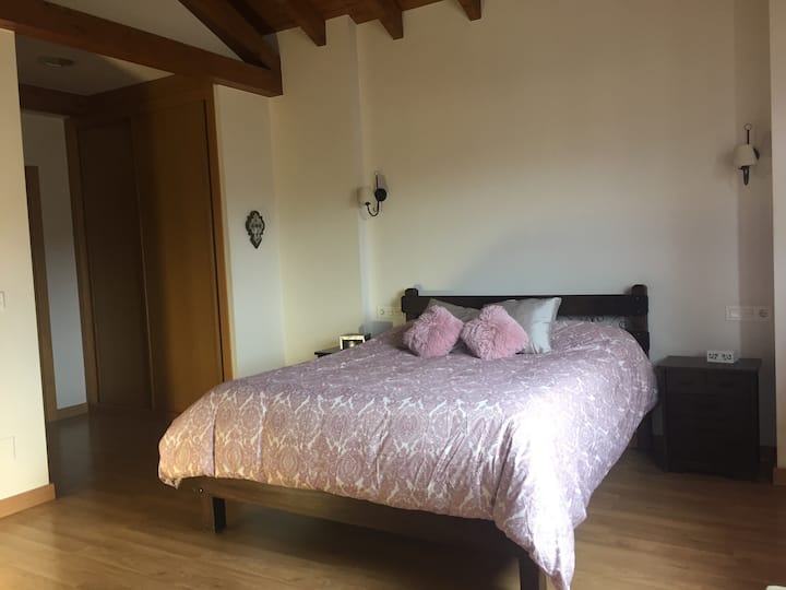 Master bedroom with walk-in closet