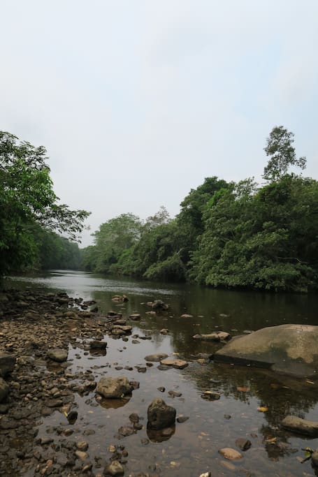 The Macal river bordering the property.