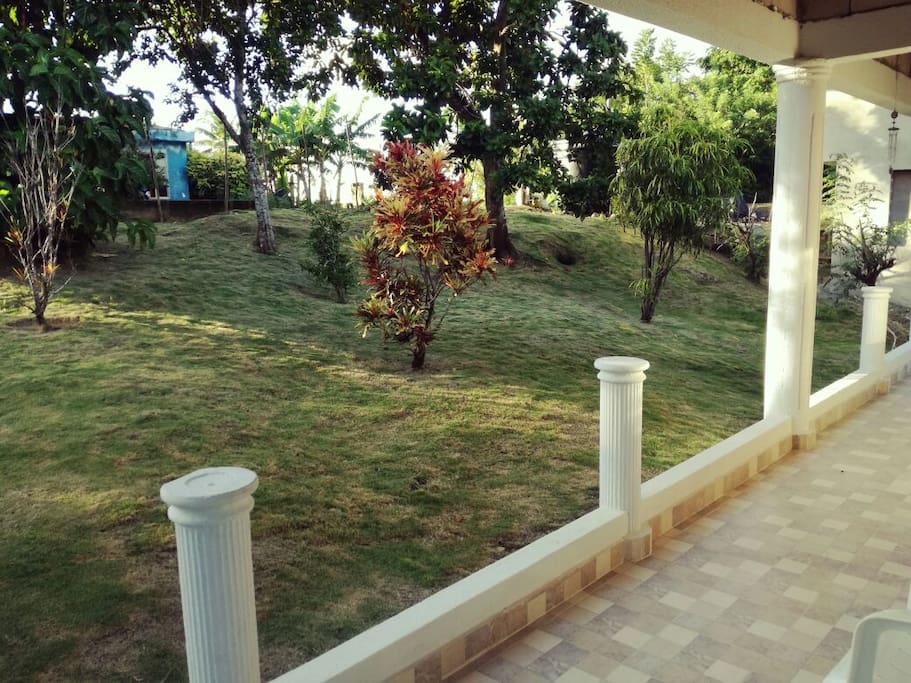 Terraza y patio delantero